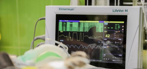 呼吸机 ECMO AI辅助医疗设备...新增127项,外商投资扩大